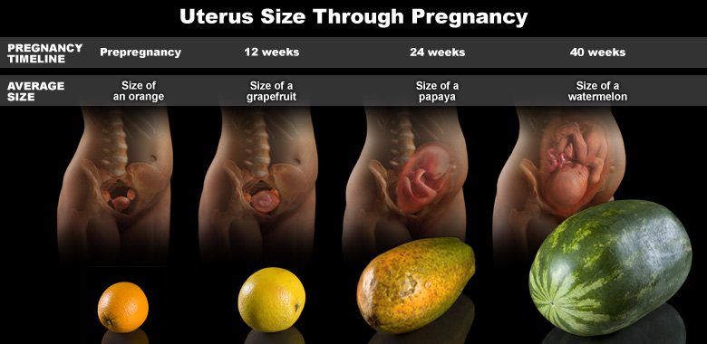 7 month baby development 