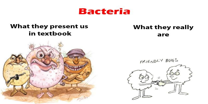 Bacteria: Our friends - Prachodayat