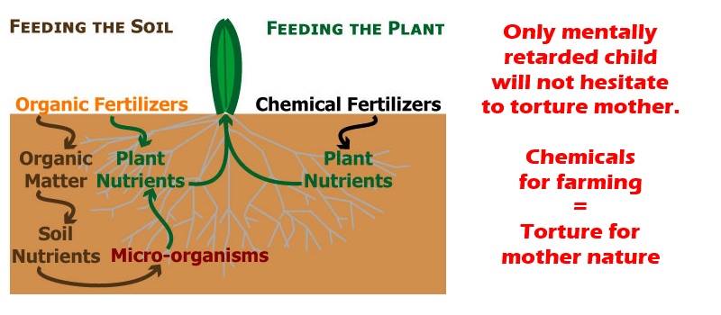 Synthetic Fertilizer : Opium that kills ecology - Prachodayat