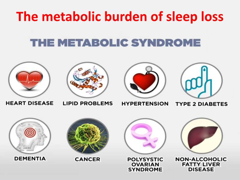 The Metabolic Burden Of Sleep Loss - Prachodayat